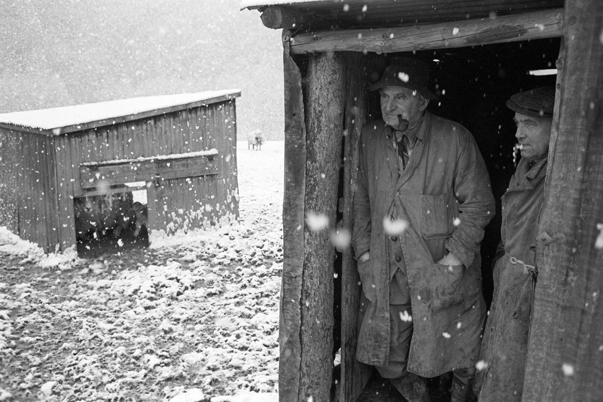 Two shepherds sheltering from the snow in shed door.
[Archie Parkhouse and Ivor Brock sheltering from snow in a shed doorway in a field at Millhams in Dolton. Archie Parkhouse is smoking a pipe.]