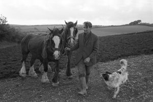 Seymour Husbands ploughing with horses by James Ravilious