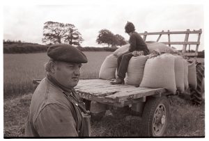 Dennis Harris and Stephen Squire loading corn sacks by James Ravilious