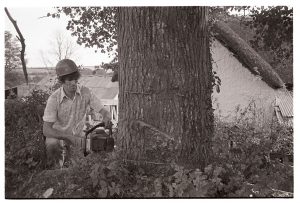 Roger Gill felling an elm by James Ravilious