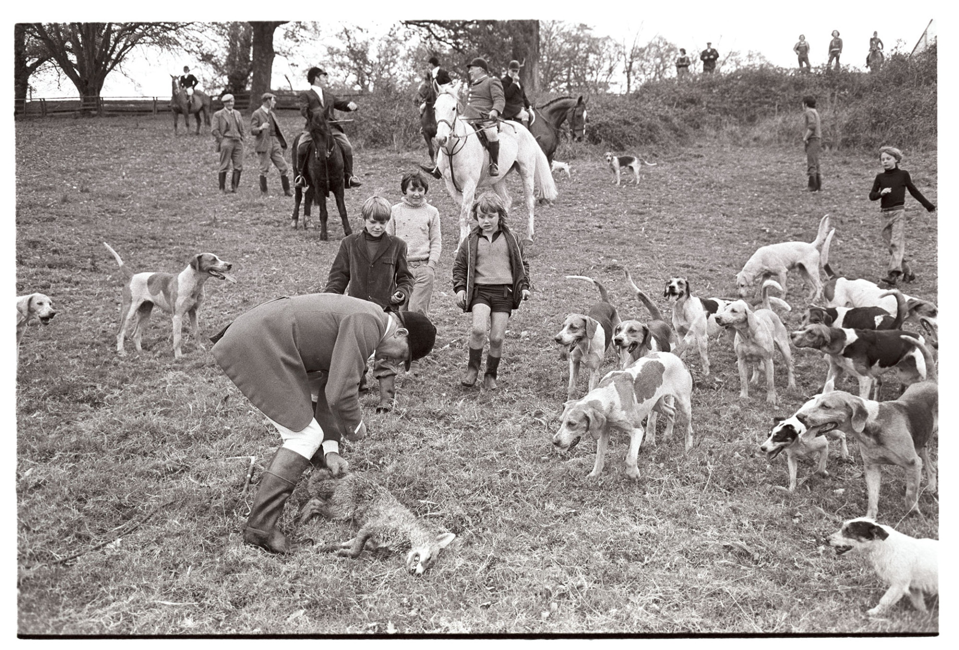 Huntsman cutting off fox's tail.
[A huntsman from Torrington Farmer's Hunt cutting off a fox's tail in a field near Hatherleigh. Children are watching and other huntsmen are in the background, including Frank Heal, Master of the Hunt.]