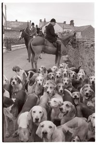 Hounds at village meet by James Ravilious