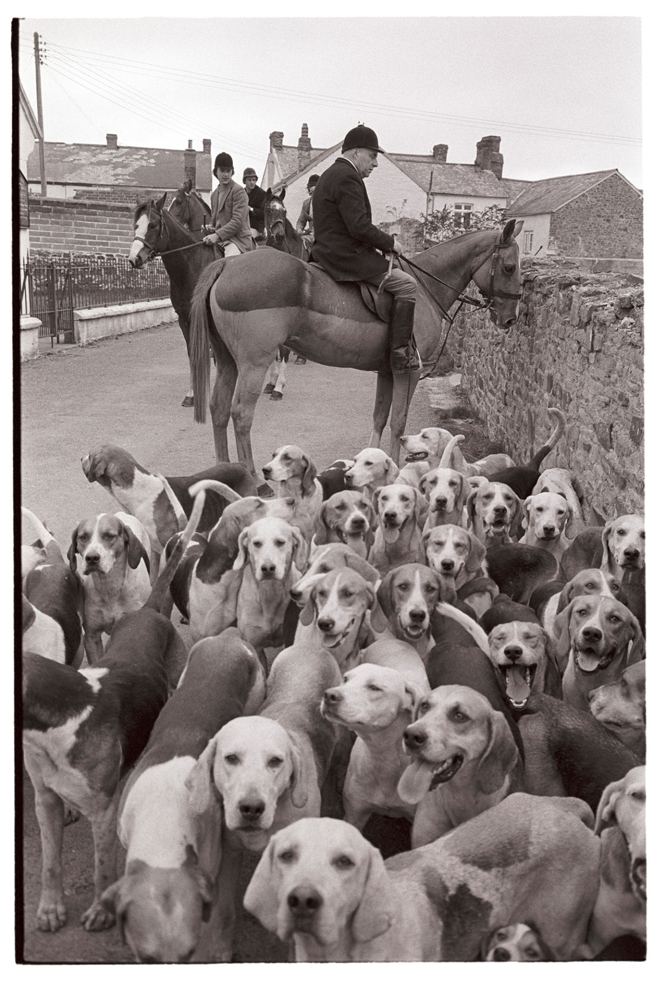 Hounds at village meet.
[Hounds gathered in a road with horses and riders at a hunt meet in High Bickington.]