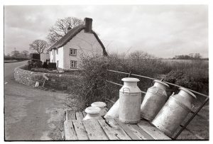 Milk churns on a stand by James Ravilious