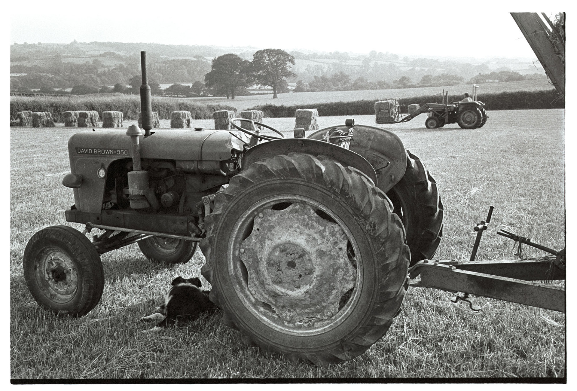 Haymaking, tractor in field with dog.
[A dog lying in the shade under a tractor during haymaking at Nethercott, Iddesleigh.  In the background are a row of stacked hay bales and a tractor carrying hay bales using a front bale lifter.]