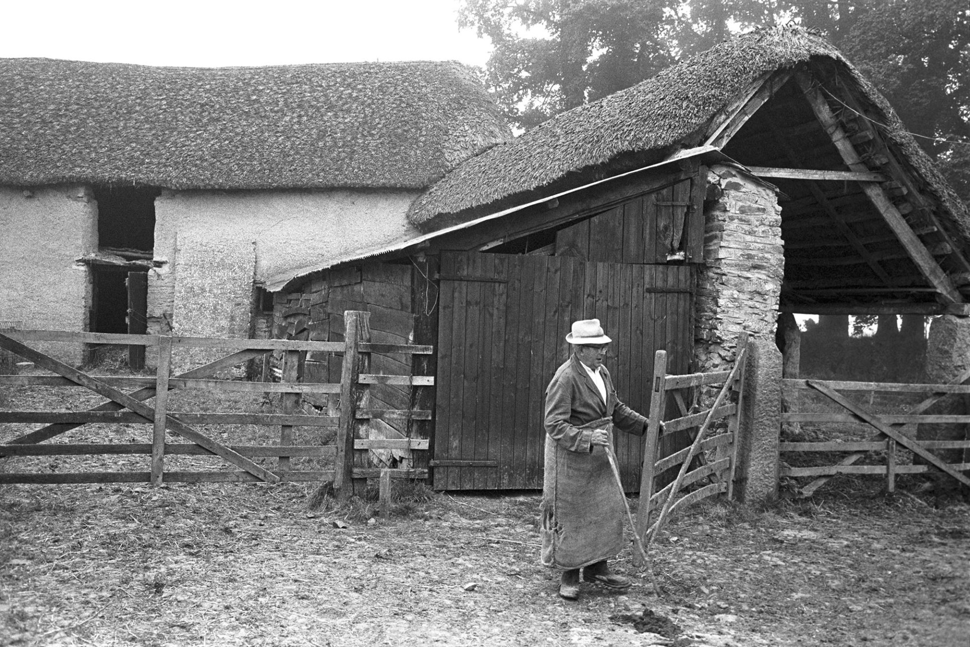 Thatched barns, farmer in sack apron closing gate.
[Thomas Ellacott, wearing a hat and a sack apron, closing a gate in front of a thatched barn at Westacott, Riddlecombe.]