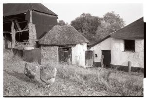 Thatch and cob barns by James Ravilious