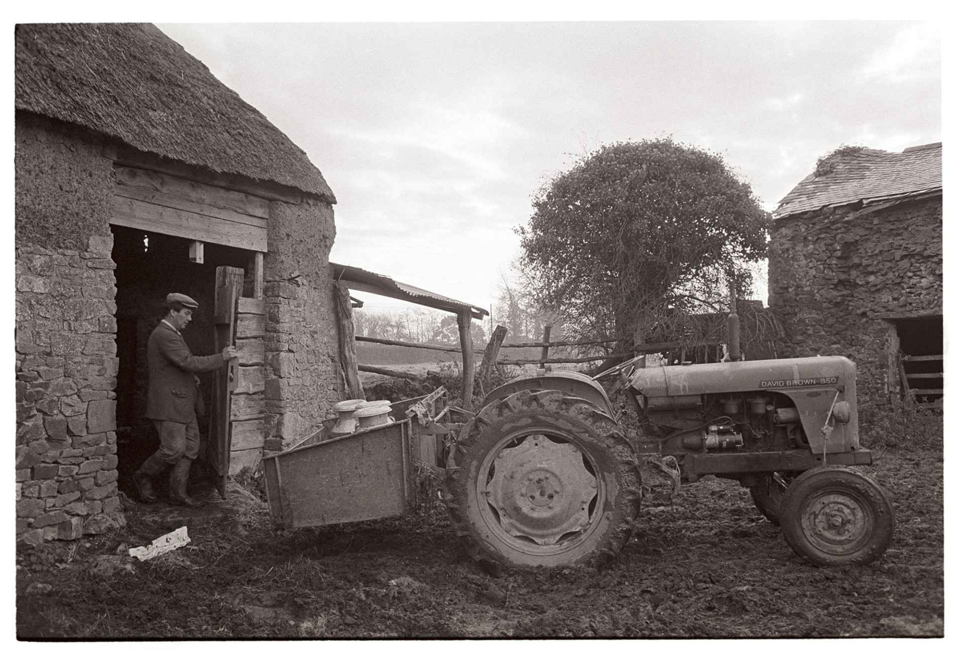 Old cob and thatch barns, farmer bringing water in churn with tractor and link box.
[Morley King in the doorway of a cob and stone barn with a thatched roof at Middle Week, Iddesleigh. In the muddy farmyard outside the barn is a David Brown tractor with churns of water in the link box.]