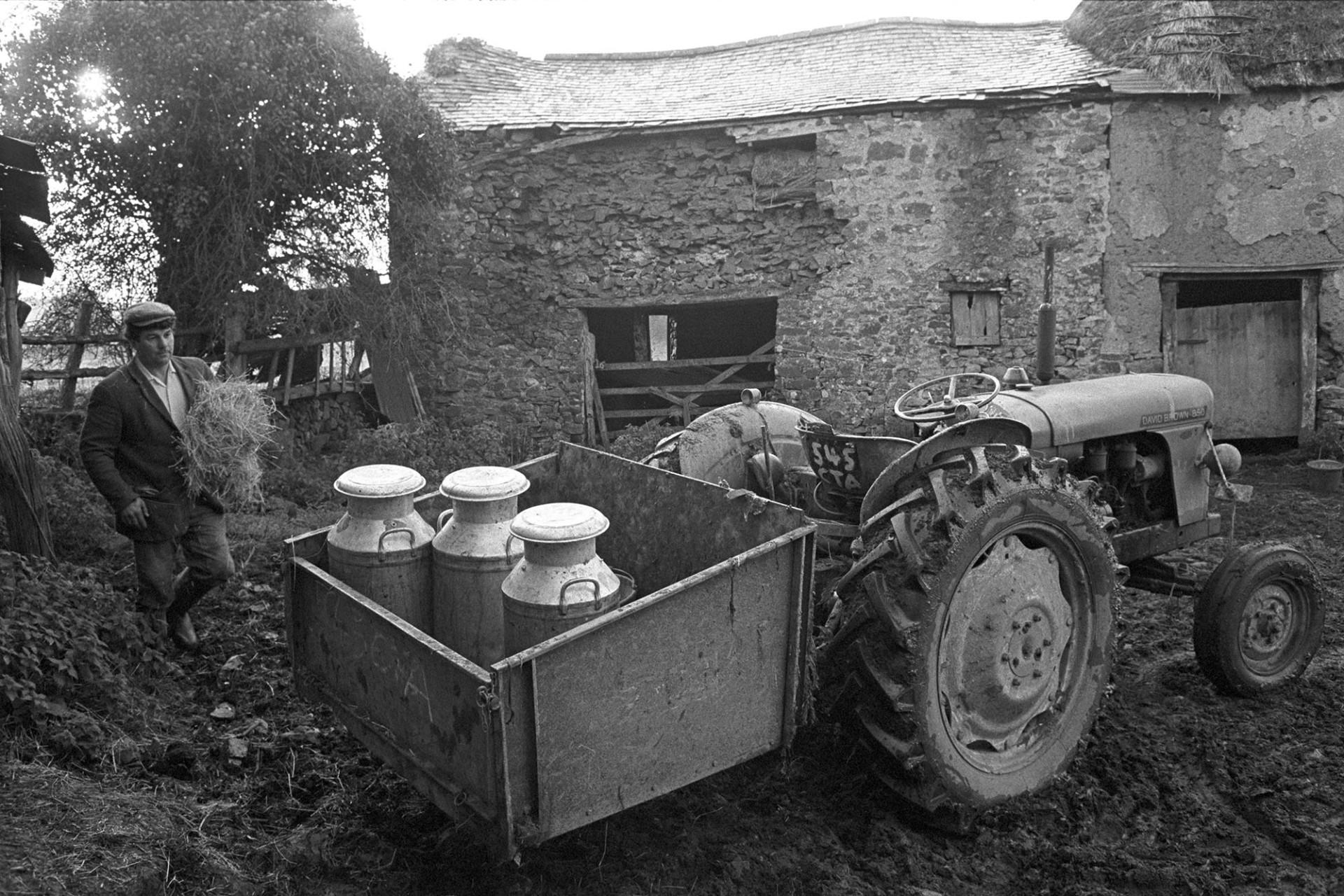 Old cob and thatch barns, farmer bringing water in churn with tractor and link box.
[Morley King carrying an armful of straw towards a tractor and link box in a muddy farmyard at Middle Week, Iddesleigh.  In the link box are three churns of water.  Two cob and stone barns, one with a thatched roof, are visible in the background.]