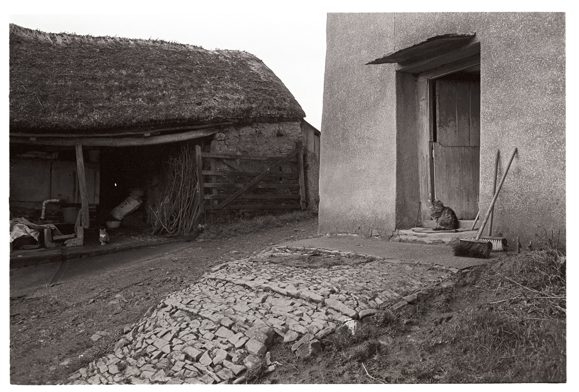 Farmhouse door, cobbled path and thatched barn, cat.
[A cobbled path leading to the farmhouse door with a cat sitting on the doorstep beside brooms, at Bridge Town, Iddesleigh.  Another cat sits in a thatched barn is in the background, which might formerly have been a dwelling.]