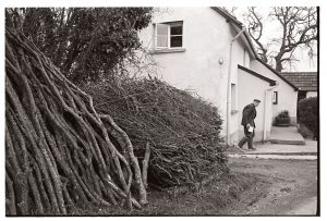 Woodpile by James Ravilious