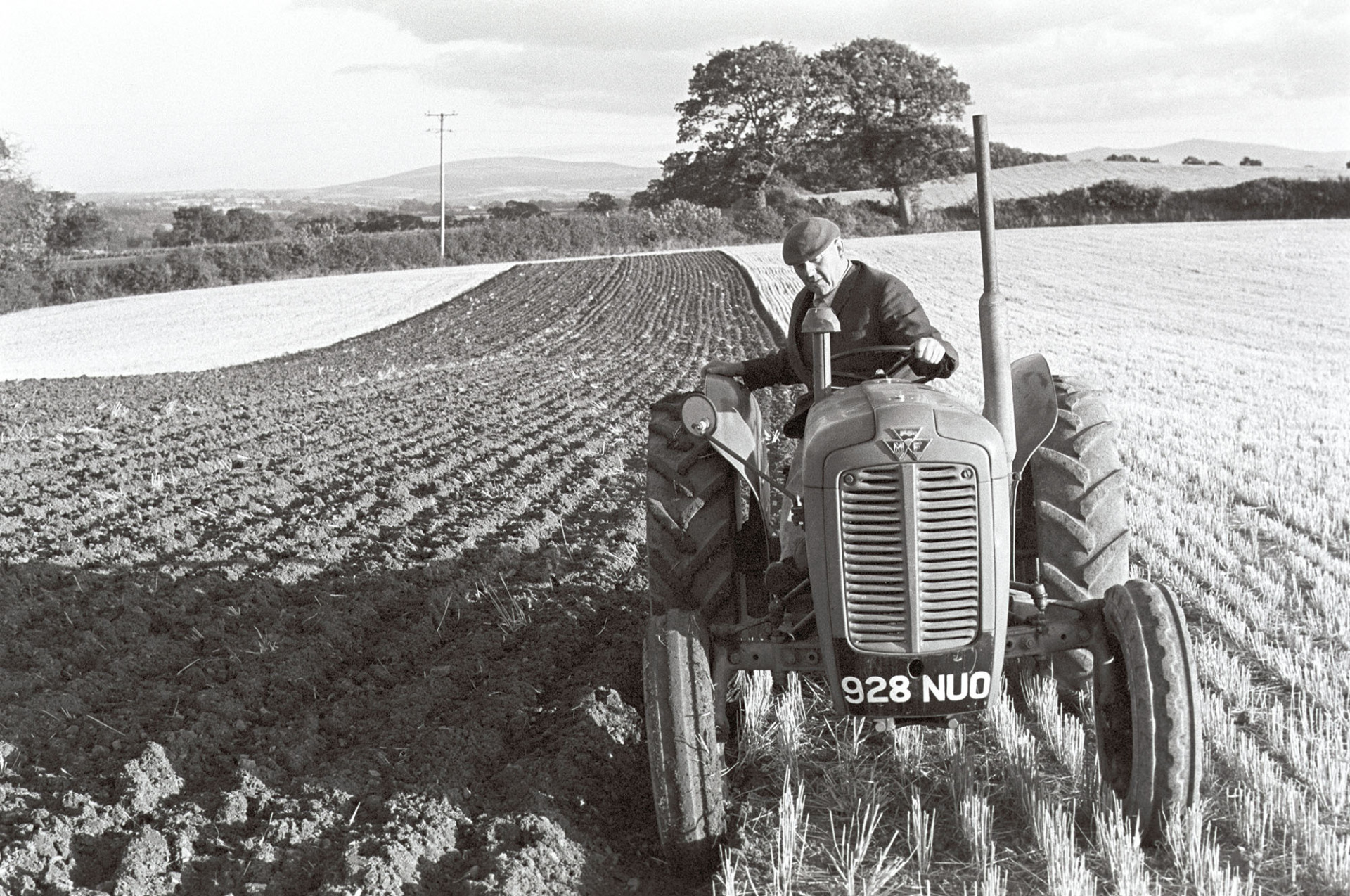 Farmer ploughing field, with Dartmoor in background.
[John Ward on his Massey Ferguson tractor ploughing a field at Parsonage Farm, Iddesleigh. A view of Dartmoor can be seen in the distance.]
