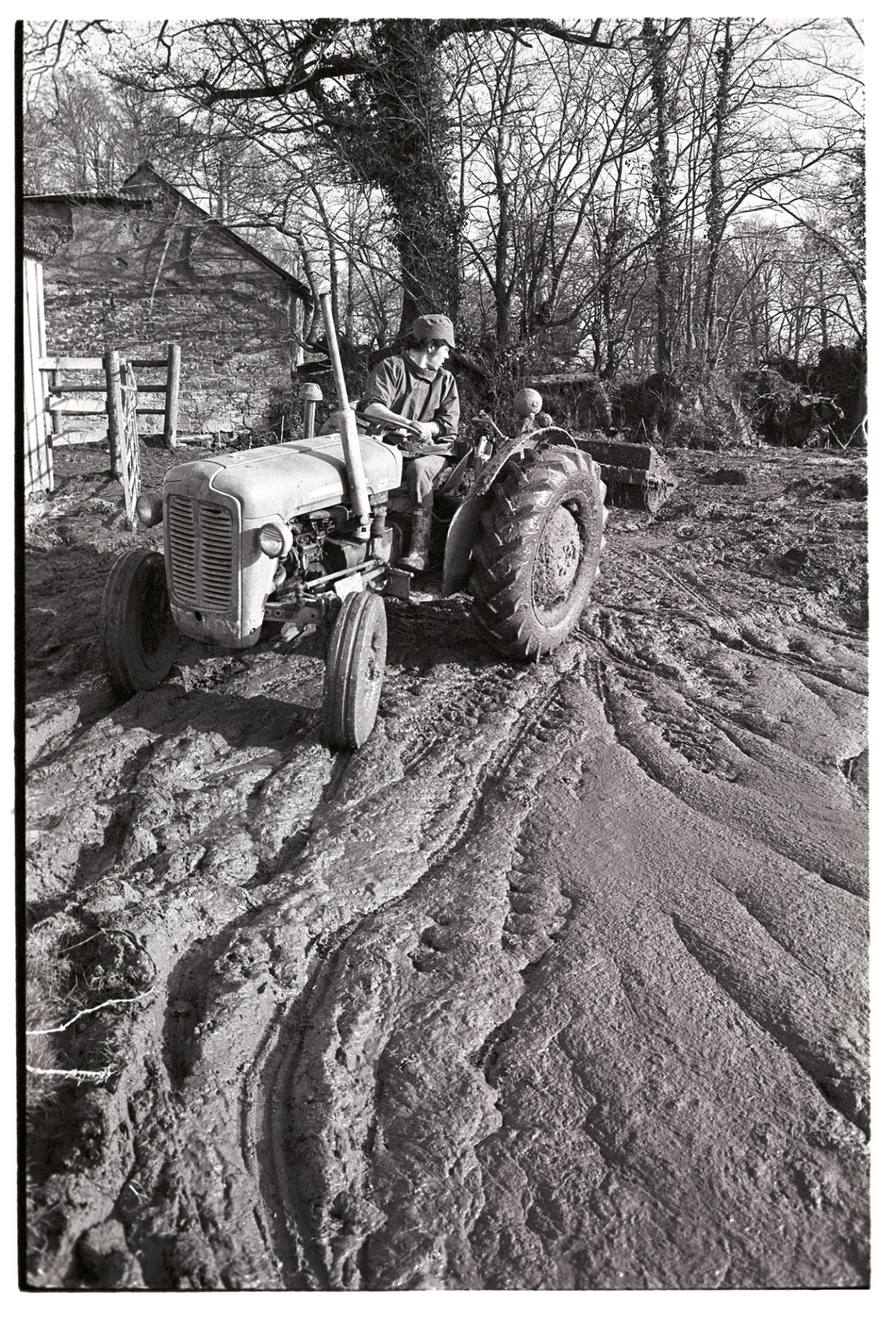 Tractor and scraper in muck.
[David Ward driving a tractor and scraping slurry in a field at Nethercott, Iddesleigh.]