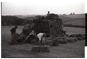 Carrying bales at twilight by James Ravilious