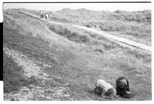 Margaret Tulloh and Robin Ravilious looking at flowers in a nature reserve by James Ravilious