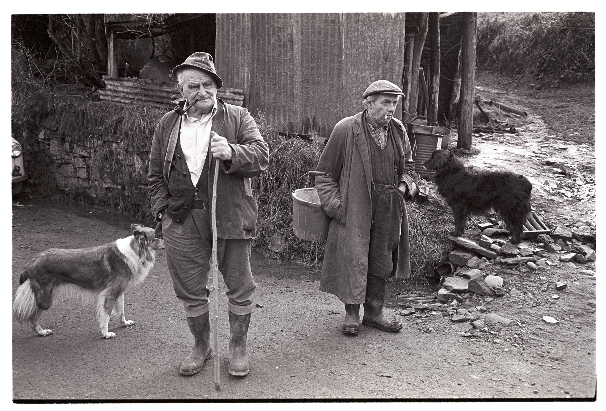 Two men standing in front shed with dogs.
[Archie Parkhouse and Ivor Brock standing in front of a corrugated iron shed at Millhams, Dolton. They are accompanied by two dogs, one of which, named Sally, has three legs. Archie is smoking a pipe and carrying a staff. Ivor is smoking a cigarette and carrying a bucket.]
