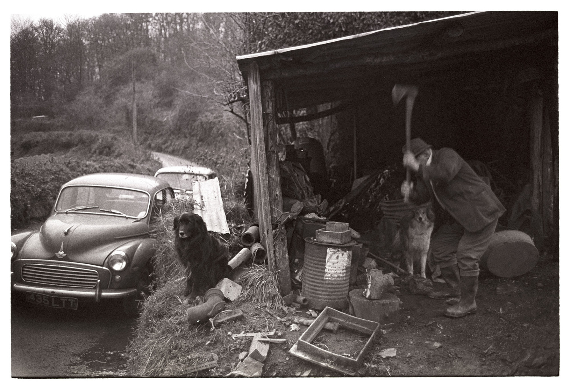 Farmer chopping logs, shed with car and dog.
[Archie Parkhouse chopping logs at the entrance to a shed at Millhams, Dolton.  He is accompanied by his two dogs. A Morris Minor car is parked in the lane by the shed.]