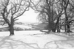 Snowy landscape at Berry by James Ravilious