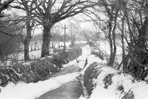 Snowy lane with heron by James Ravilious