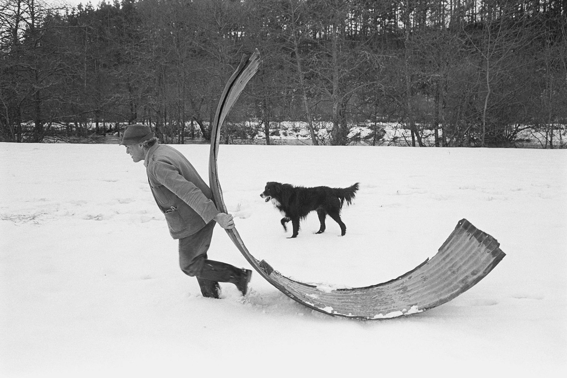 Snow, farmer moving shed in case of river flooding, dog. 
[Alf Pugsley moving a corrugated iron shed in a snow covered field at Lower Langham, Dolton, to avoid flooding. A dog is with him and the river Torridge is visible in the background.]