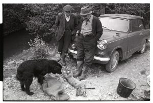 Archie Parkhouse and Ivor Brock looking at a fox they had snared by James Ravilious