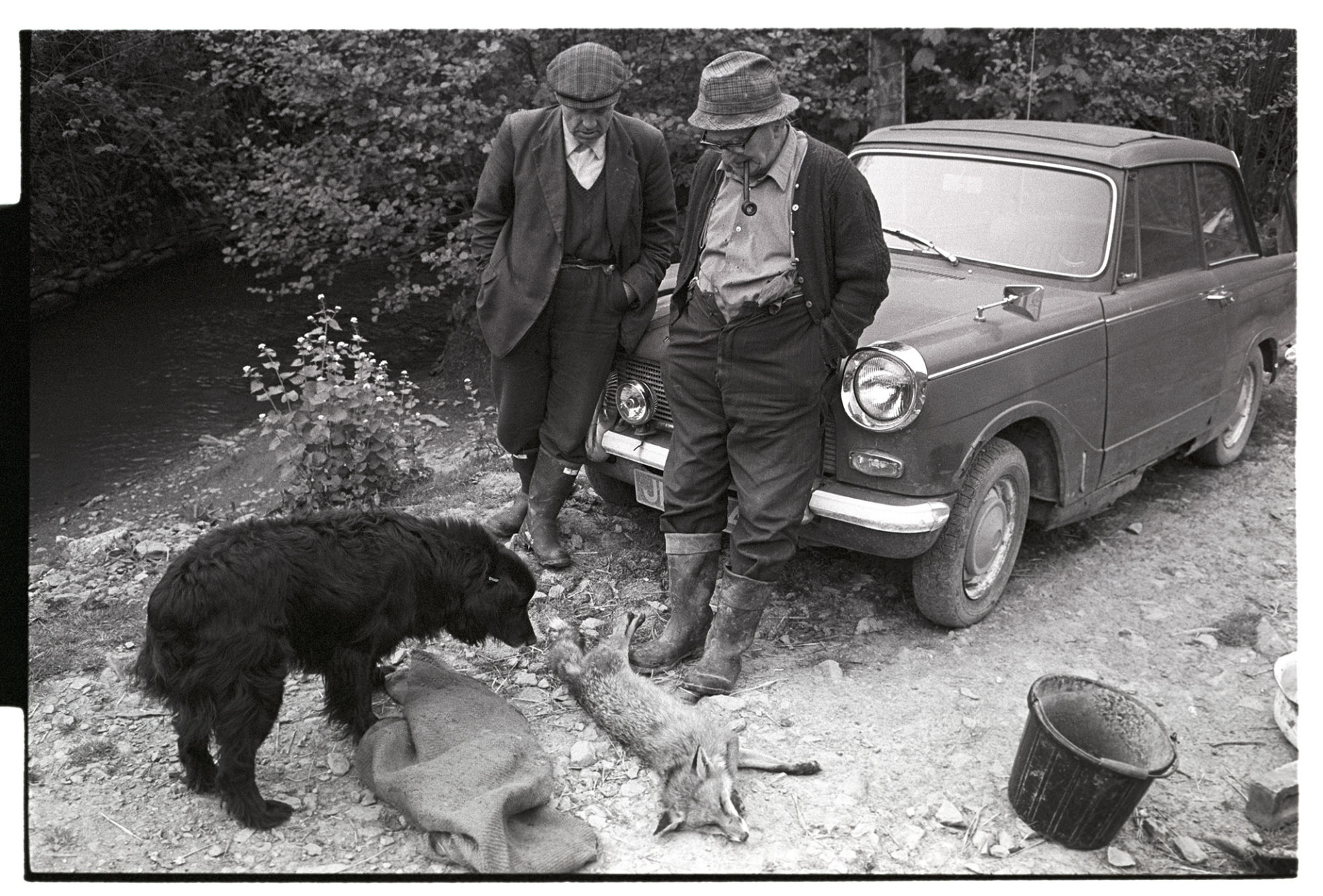 Two farmers looking at fox they had snared leaning on old car, dog. 
[Archie Parkhouse and Ivor Brock leaning on a car and looking at a fox they had snared at Millhams in Dolton. Archie Parkhouse is smoking a pipe. A dog is also looking at the fox.]