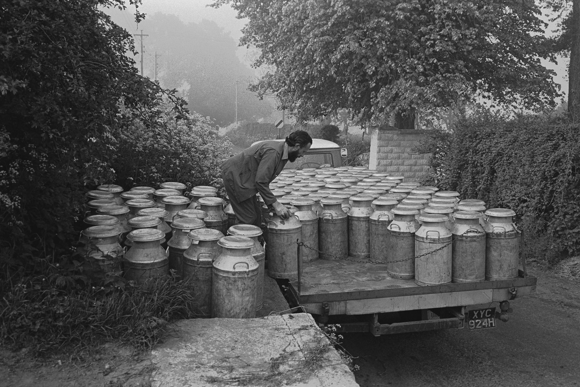 Man loading lorry with milk churns on to lorry from stand. 
[Fred Hooper, a milk lorry driver, loading milk churns onto his lorry from a stand in Sheepwash.]