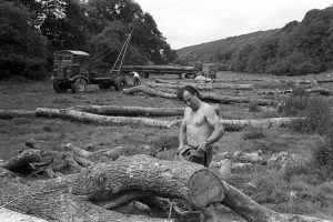 Sawing Timber by James Ravilious