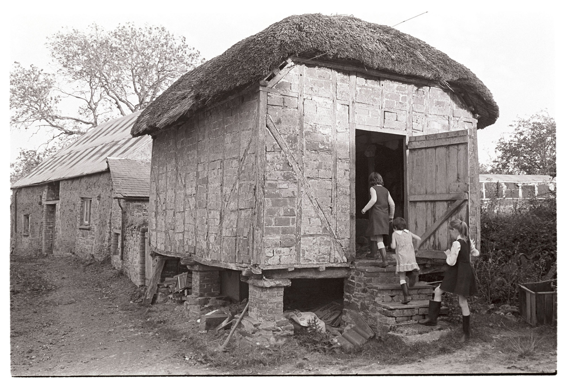 Thatched brick granary with timber frame standing on brick pillars, children going in. 
[Three children entering a thatched brick granary on brick stilts at Higher House, Atherington. Another barn with a corrugated iron roof can be seen in the background.]