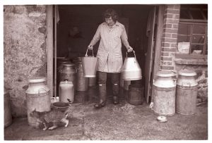 Valerie Medland doing the early morning milking by James Ravilious