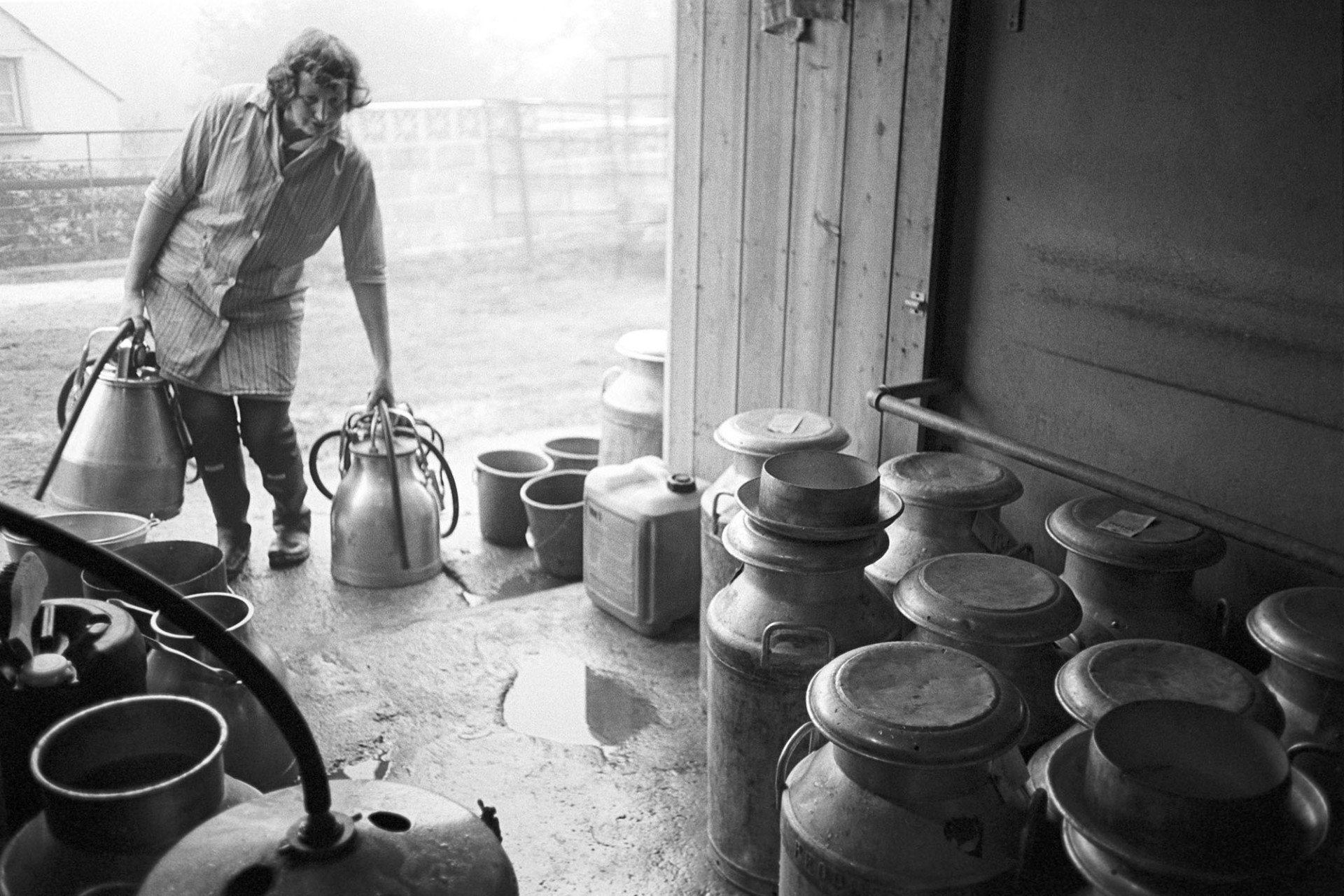 Farmers wife doing morning milking, churns and parlour with milking machine (bucket). 
[Valerie Medland doing the morning milking at Hall Court Farm, Petrockstowe. She is carrying milking machines and looking into a barn or dairy parlour with milk churns.]