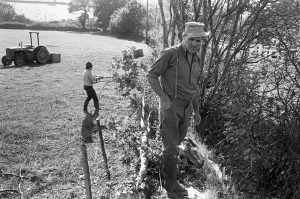 Stephen Squire and Alf Pugsley laying a hedge by James Ravilious