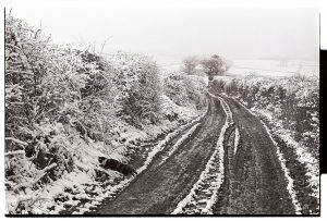 Snowy track by James Ravilious