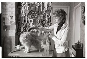Jean Clements and her champion cat by James Ravilious