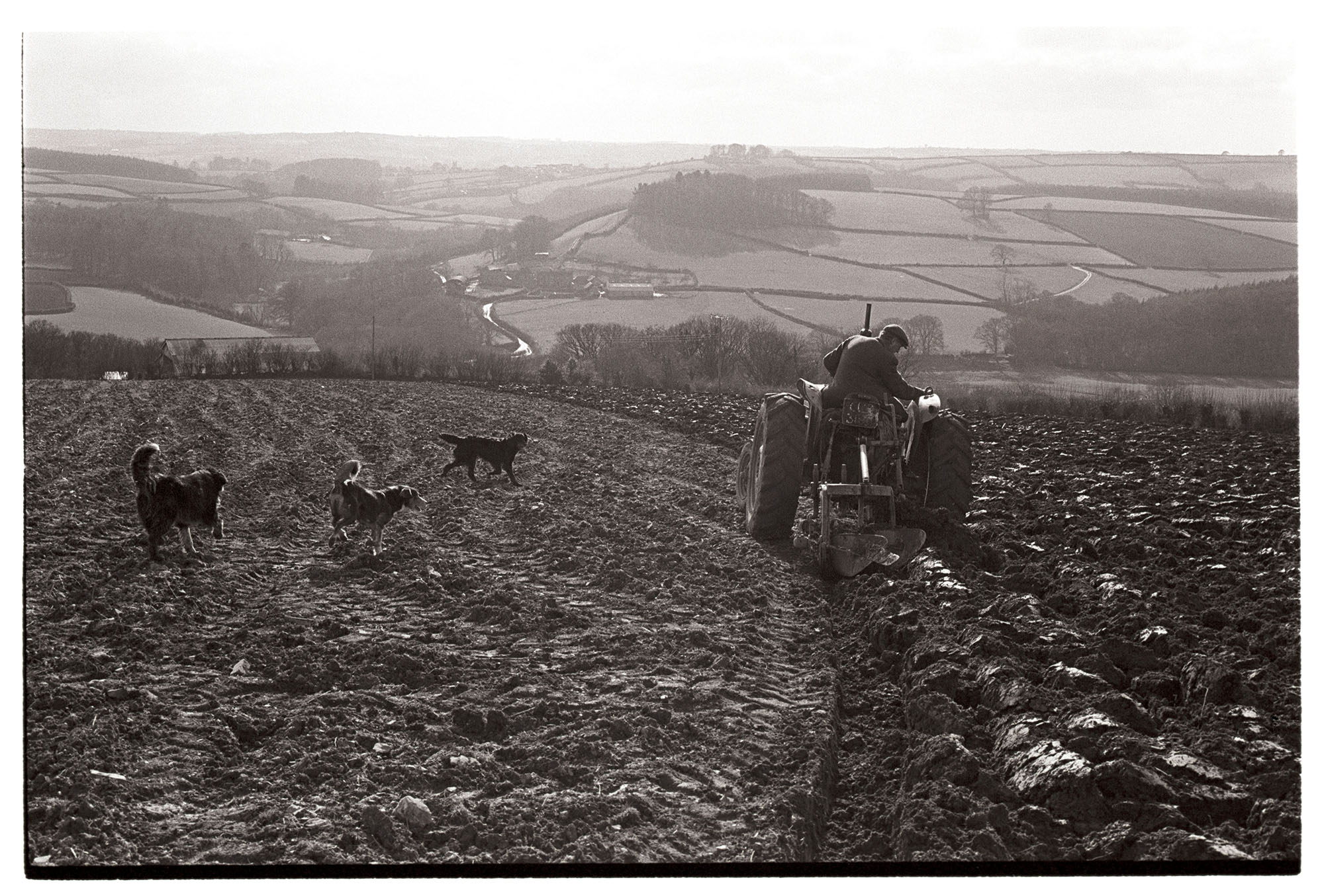George Ayre ploughing by James Ravilious