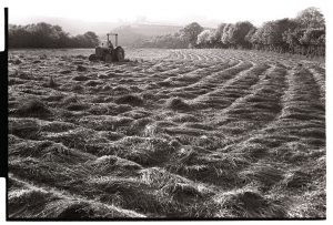 Alf Pugsley cutting grass by James Ravilious