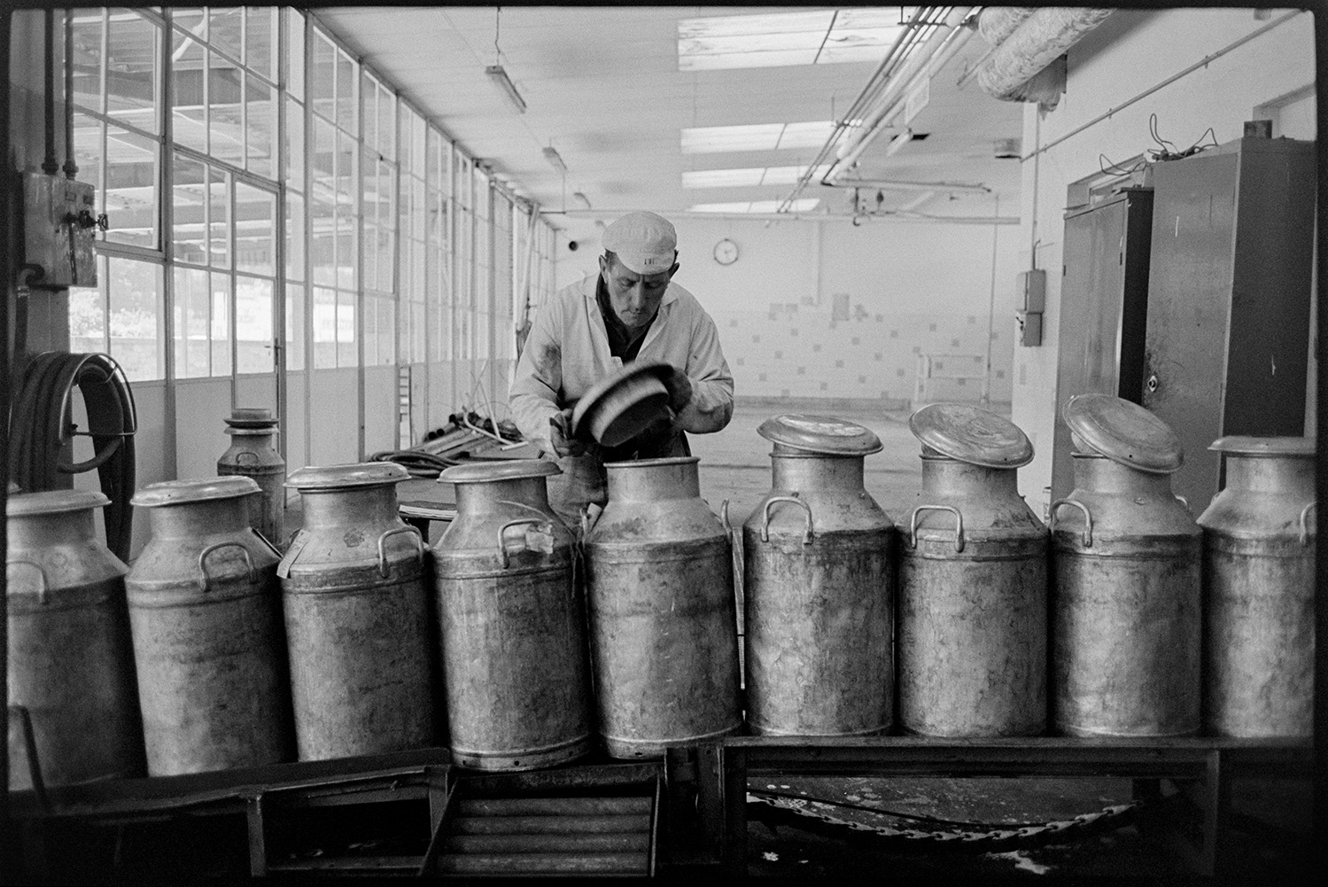 Lorries with milk churns, men unloading, checking, sniffing and weighing milk, lorry parked. 
[A man taking a lid off a milk churn and sniffing the milk, on a conveyor belt, at Unigate Dairy, Torrington.]