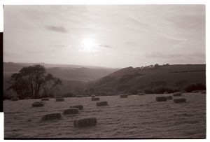 Hay bales drying out by James Ravilious