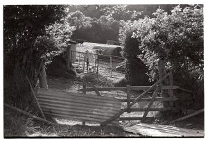 Gates at Millhams by James Ravilious