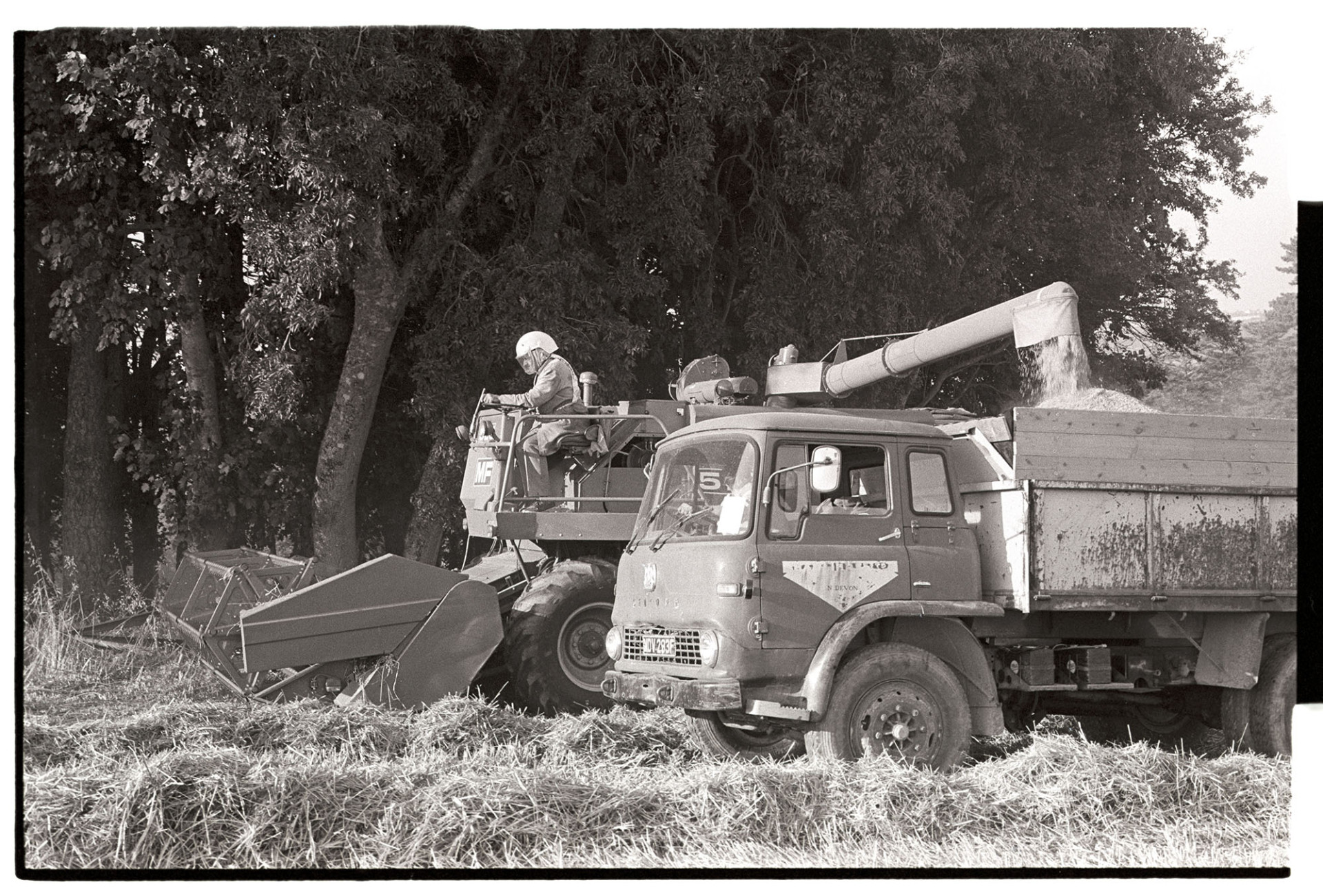 Combine harvester with driver wearing dust helmet, loading grain onto lorry. 
[Mr Rogers driving a combine harvester in a field at Huish Barton near Merton. He is wearing a dust helmet. The combine harvester is loading grain into a lorry.]