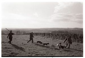 Shooting party setting out by James Ravilious