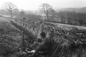 Hedger’s lunch break: Stephen Squire by James Ravilious