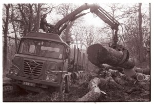 Loading logs onto a lorry at Dolton Wood by James Ravilious