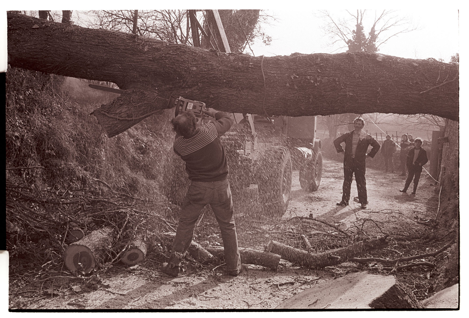 Tree fellers cutting up felled elm lying across road. 
[A man cutting up a felled elm tree, which has fallen across a road, with a chainsaw, at Lower Langham, Dolton. Other people are watching him and a crane is visible behind the tree trunk.]