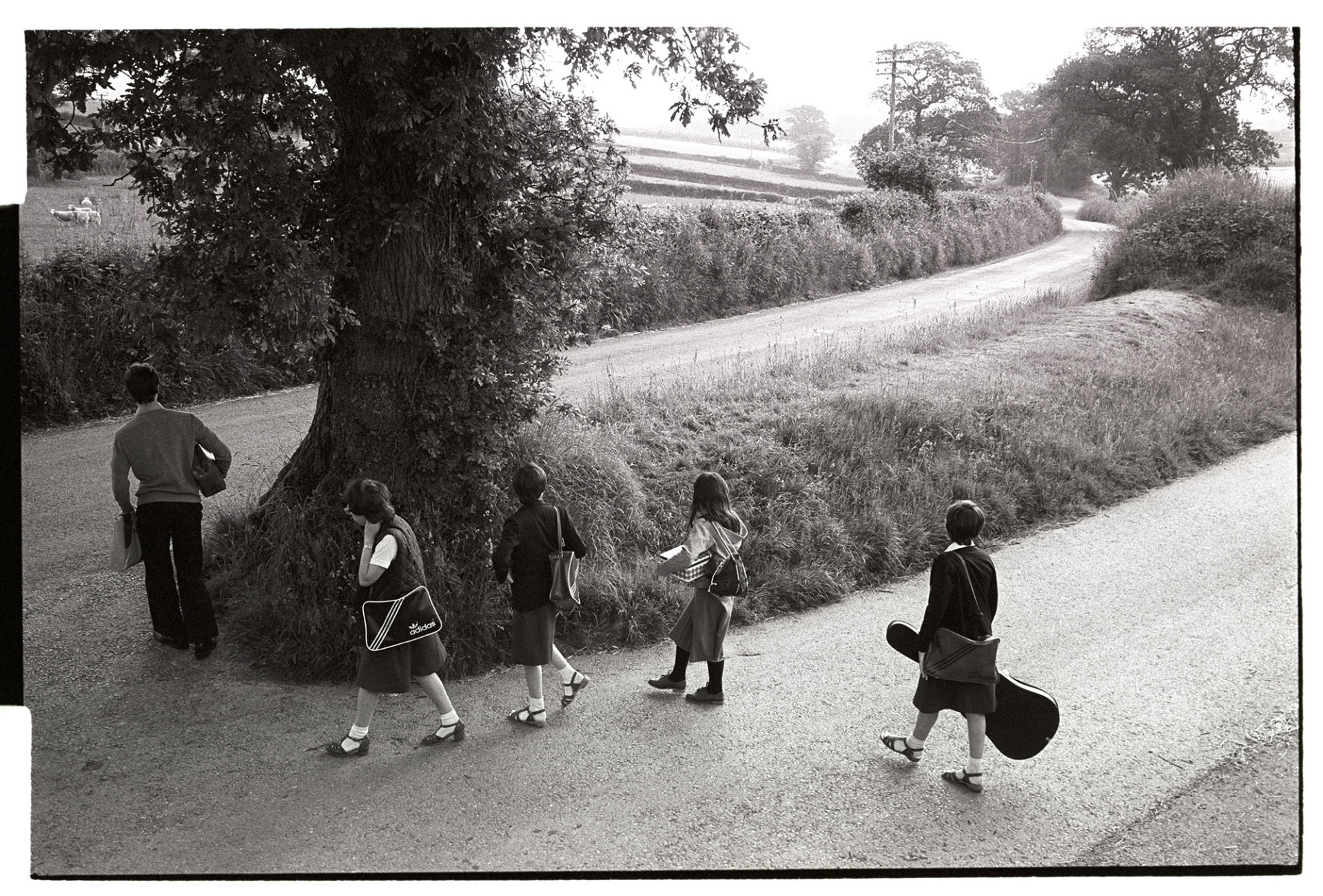 Schoolchildren about to catch school bus, bus arriving, girl with musical instrument. 
[Children waiting for the school bus by a tree at Lovistone Barton, Merton. One of them is carrying a guitar case.]