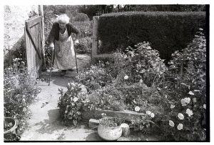 Queenie Knight in her garden by James Ravilious