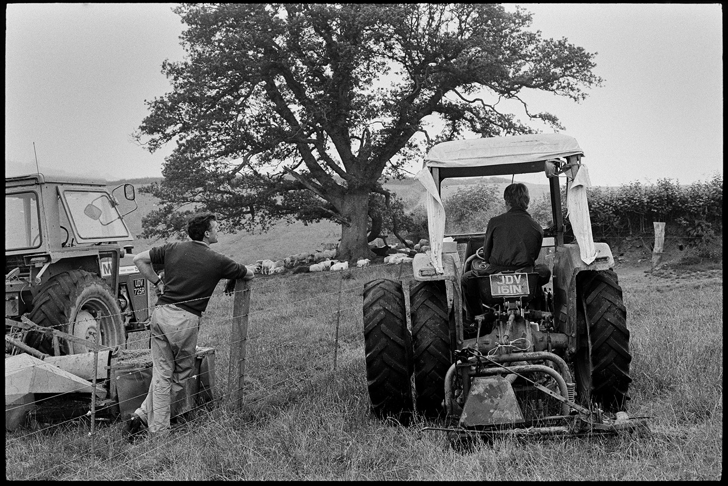 Two farmers with tractors having a chat. 
[Two men, one with a tractor and mower and the other with a tractor, talking over a barbed wire fence between two fields at Densham, Ashreigney. Sheep can be seen under a tree in one of the fields.]