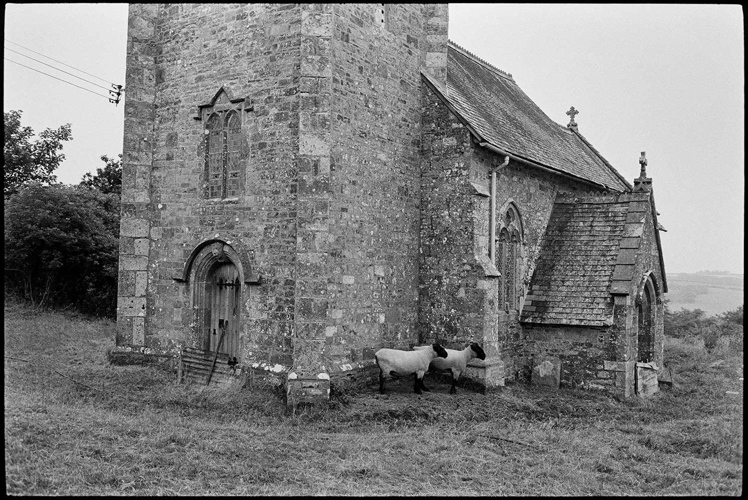 Redundant church, inside and out. 
[Two sheep outside the redundant church at Ashbury, near Northlew. The church porch and windows are visible.]