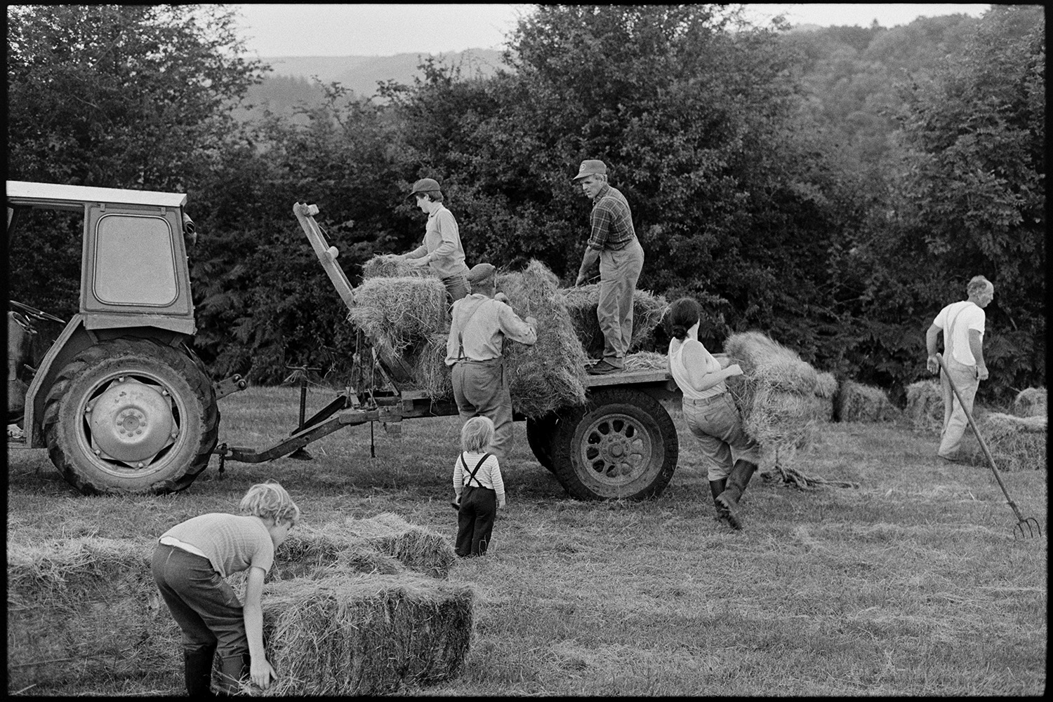 Haymaking, load of hay on trailer. 
[Men, women and children loading hay bales onto a trailer in a field at Millhams, Dolton.]