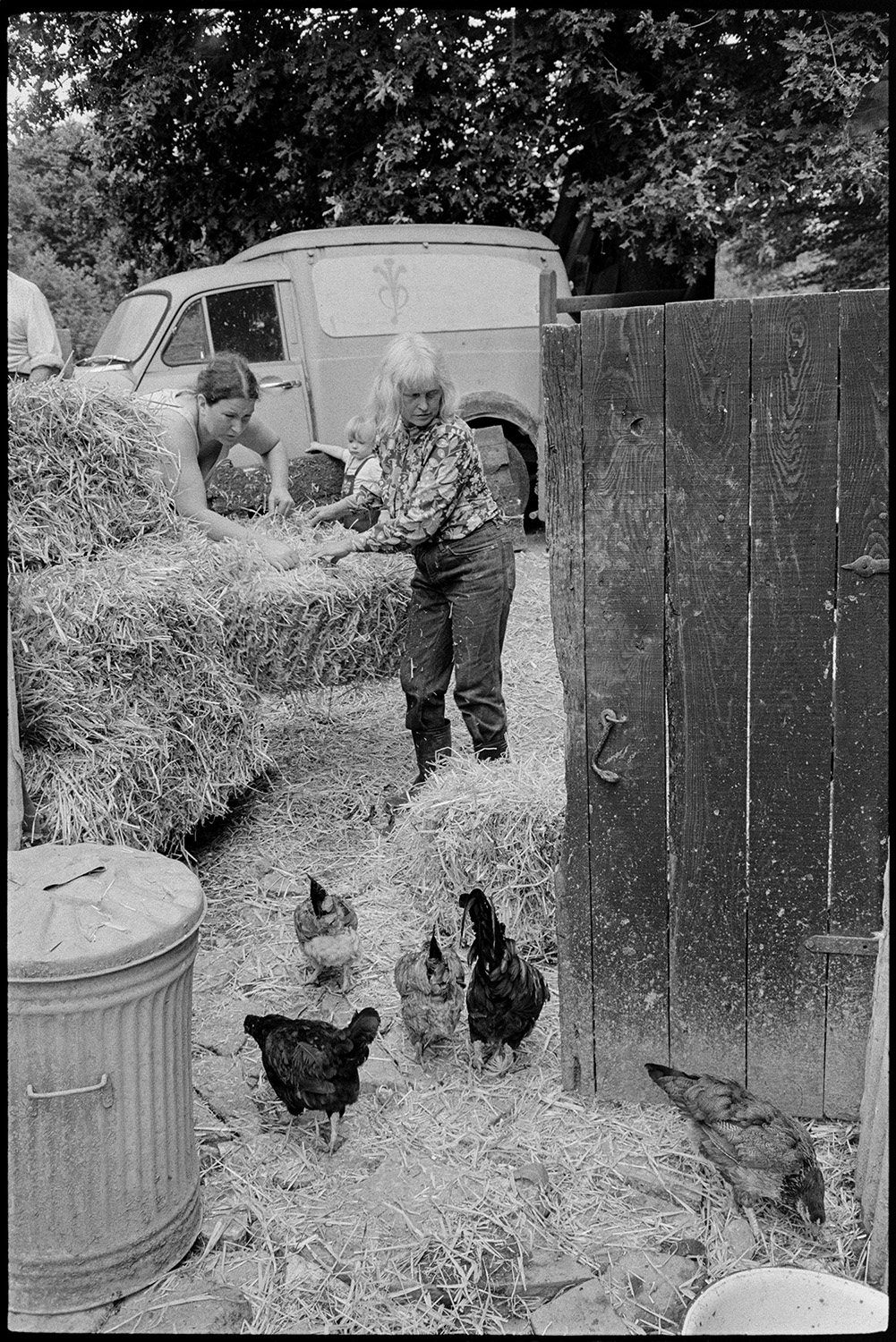 Farmers putting bales of straw in shed, paying for it standing chatting. 
[Jo Curzon and another woman putting bales of straw into a wooden shed at Millhams, Dolton. A dustbin and four chicken can be seen by the shed.]